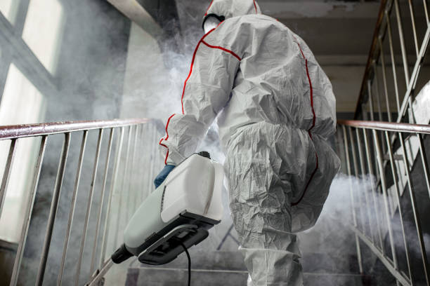 Professional Mold Removal in North Braddock, PA